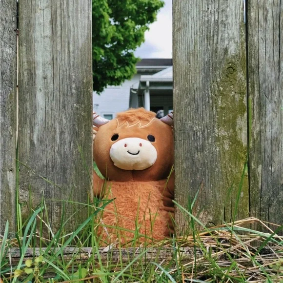 14” Wilfred the highland Cow Hug me Squishmallows NWT